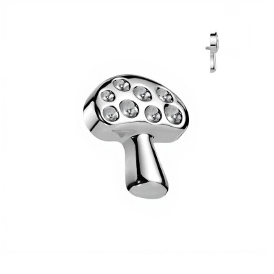 Implant Grade Titanium Internally Threaded Mushroom Top