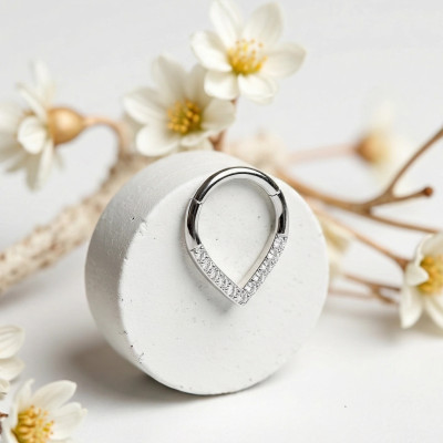 Anneau à Charnière Motif Chevron en Titane Qualité Implant avec Ligne de Zirconias Sertis