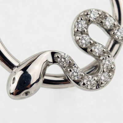 Anneau avec Serpent Pavé de Pierres Cubiques et Charnière en Titane de Qualité Implant
