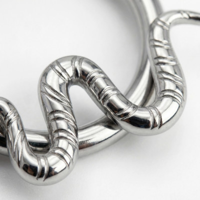 Anneau avec serpent et charnière en titane de qualité implant