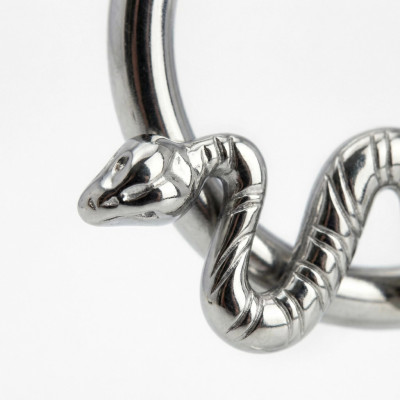 Anneau avec serpent et charnière en titane de qualité implant
